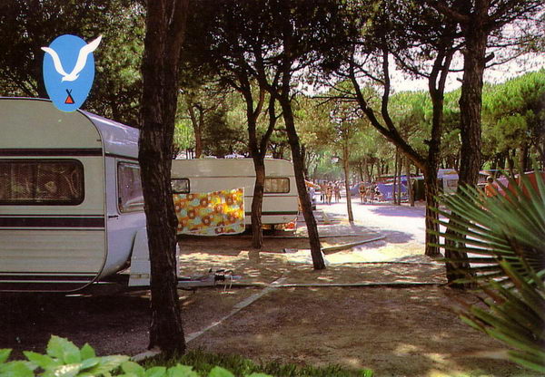 Interior del camping Albatros de Gav&agrave; Mar (1984)